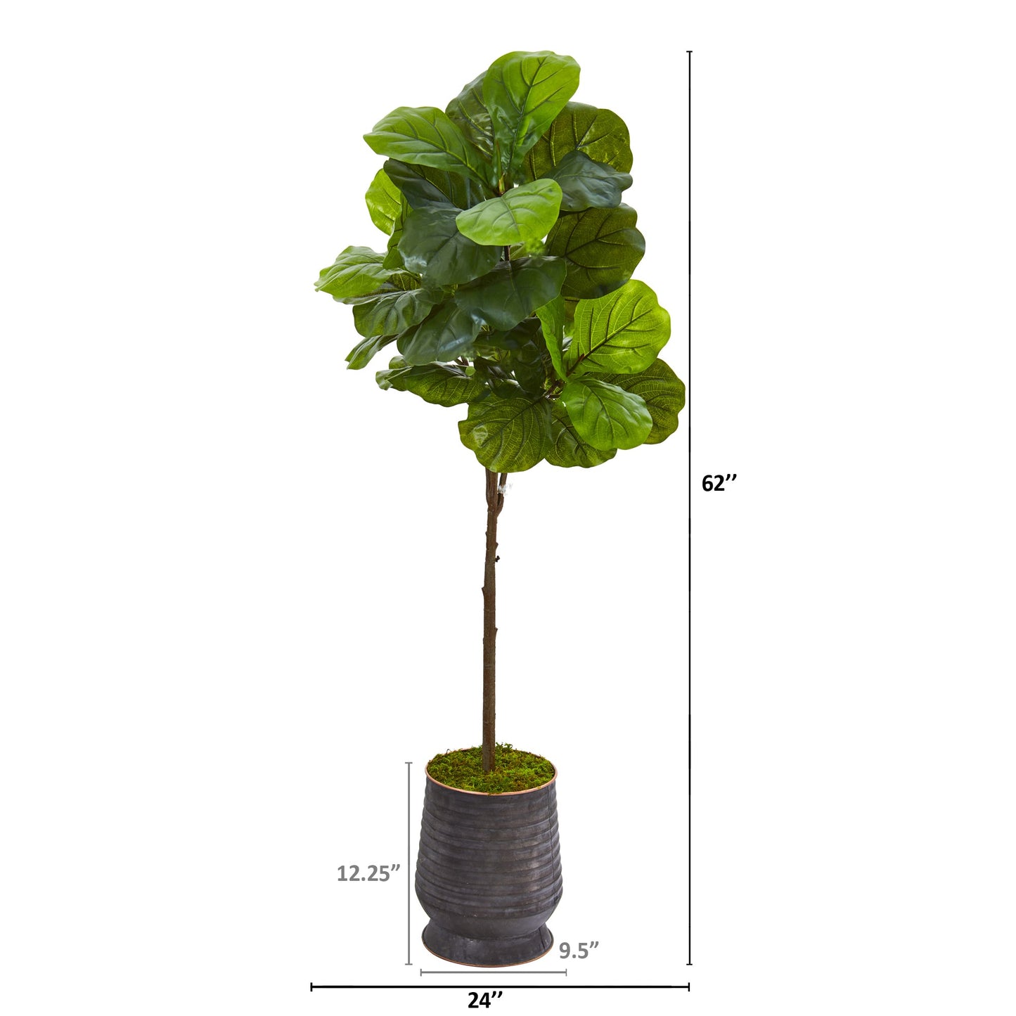 62" Fiddle Leaf Artificial Tree in Ribbed Metal Planter (Real Touch)