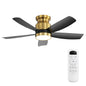 42" Flush Mount Ceiling Fan with LED Light & Remote – Dimmable 3CCT, Reversible DC Motor | Black, Gold & Black+Gold