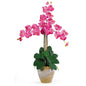 Triple Stem Phalaenopsis Silk Orchid Arrangement