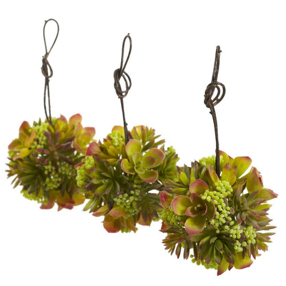 5" Mixed Succulent Hanging Ball (Set of 3)