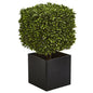 27" Boxwood Artificial Plant in Black Planter 
(indoor/Outdoor)