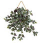 20" Wandering Jew Artificial Plant in Decorative Hanging Frame