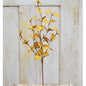 Penny Leaf Pick Mustard 18" (Pack of 4)