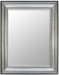 Silver Raven Mirror 36X48 Tarnished Silver Black