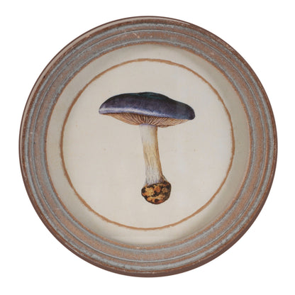 Framed Mushroom Print (Set of 4)