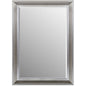 The Sterling Mirror 48X72 Silver with Champagne Wash