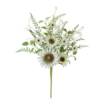 Mixed White Sunflower Bush (Set of 2)