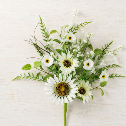 Mixed White Sunflower Bush (Set of 2)