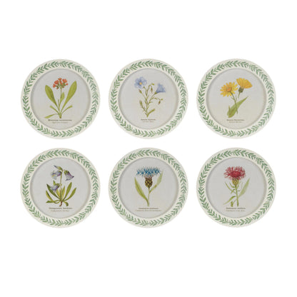 Round Framed Encyclopedia Floral Print (Set of 6)
