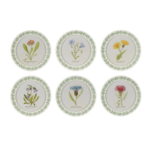 Round Framed Encyclopedia Floral Print (Set of 6)