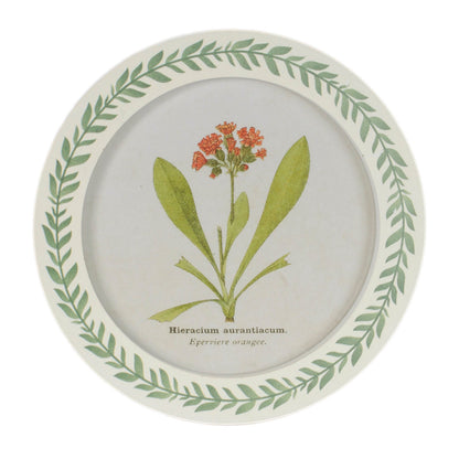 Round Framed Encyclopedia Floral Print (Set of 6)