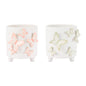 Butterfly Accent Dolomite Planter (Set of 2)