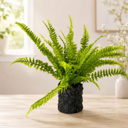 Fern Plant with Mossy Base 24"H