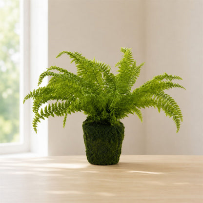 Fern Plant with Mossy Base 27"H