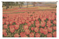 Tulipani Italian Tapestry
