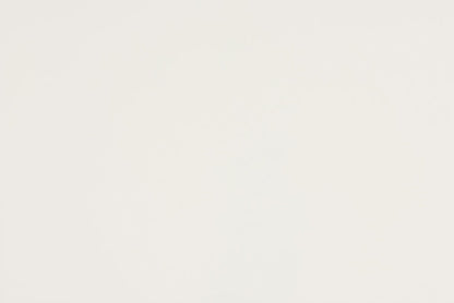 Baxton Studio Nadia Modern and Contemporary Farmhouse White Finished Wood and Black Metal 2-Door Sideboard Buffet