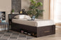 Baxton Studio Carlson Modern and Contemporary Espresso Brown Finished Wood Twin Size 3-Drawer Platform Storage Bed