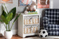 Baxton Studio Rianne Modern Transitional White Finished Wood 2-Basket Storage Unit
