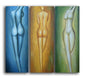 Feminine Forms Canvas Wall Art