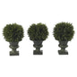 9" Cedar Ball Topiary (Set of 3)