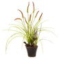 Swampy Cattail Garden w/Planter