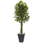 6.5'Ficus Tree with Slate Planter UV Resistant (Indoor Outdoor)