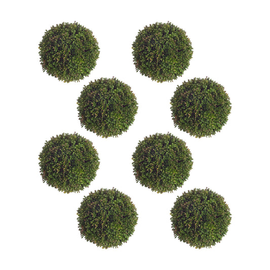 Boxwood Sedum Orb (Set of 8)