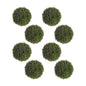 Boxwood Sedum Orb (Set of 8)