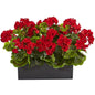 Geranium in Rectangular Planter UV Resistant (Indoor/Outdoor)