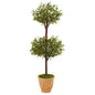 4.5' Olive Topiary Tree in Terracotta Pot