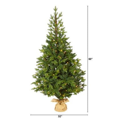 5' Fraser Fir 'Natural Look' Artificial Christmas Tree w/ 190 Clear LED Lights