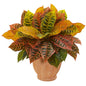 Croton Artificial Plant in Terra Cotta Planter