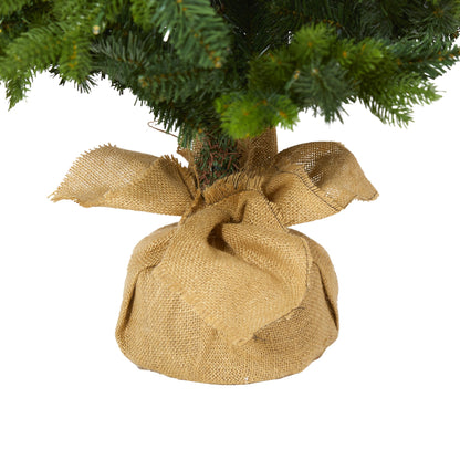 5' Fraser Fir 'Natural Look' Artificial Christmas Tree w/ 190 Clear LED Lights