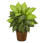 19"  Diffenbachia Artificial Plant in Basket