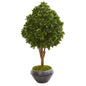 45"  Tea Leaf Artificial Tree in Bowl UV Resistant (Indoor/Outdoor)