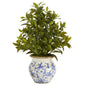 28" Coffee Leaf Artificial Plant in Vintage Floral Planter (Real Touch)