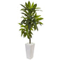 3' Dracaena Plant in White Tower Planter