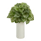 15" Watermelon Peperomia Artificial Plant in White Planter (Real Touch)