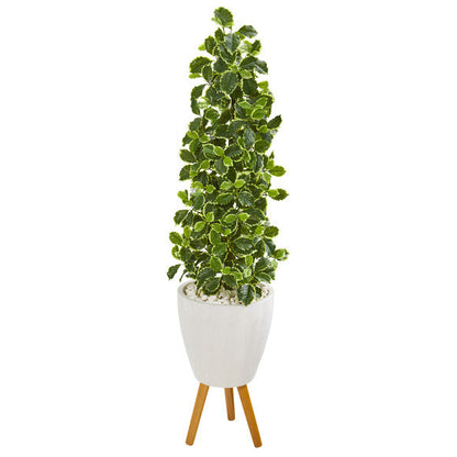 51" Variegated Holly Leaf Artificial Tree in White Planter with Stand