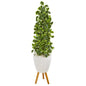 51" Variegated Holly Leaf Artificial Tree in White Planter with Stand