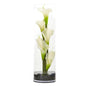 20" Calla Lily in Cylinder Glass
