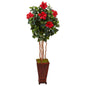 5' Hibiscus Tree in Decorated Wooden Planter