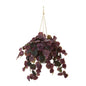 30"  Peperomia Artificial Plant in Hanging Bucket (Real Touch)