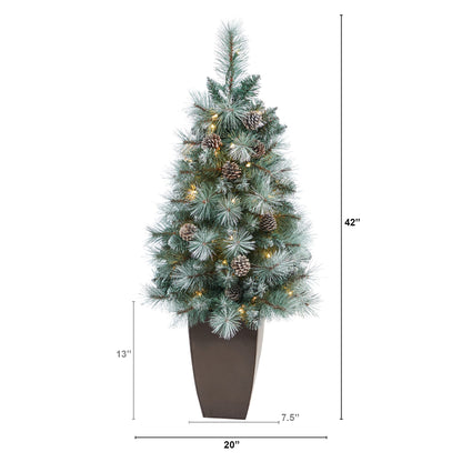 3.5' Frosted Tip British Columbia Mountain Pine Artificial Christmas Tree