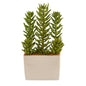 17"  Succulent Artificial Plant With Decorative Planter