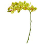 21"  Phalaenopsis Orchid Artificial Flower (Set of 6)