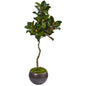 54"  Magnolia Artificial Tree in Metal Bowl