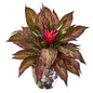 Ginger and Musa Leaf Artificial Plant in Silver Planter