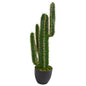 3' Cactus Artificial Plant 6328 By Nearly Natural