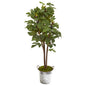 4' Fig Artificial Tree in Vintage Metal Planter